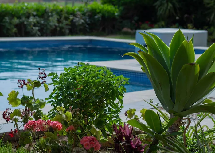 Villa Safty Palm Oasis Private Pool & Access Ain Sukhna