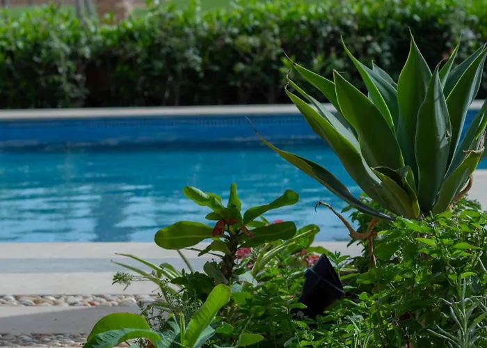 Safty Palm Oasis Private Pool & Access